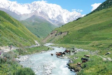 Gruzja, widok na rzekę i góry Kaukaz