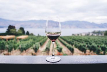 Kieliszek wina na tle plantacji winorośli
