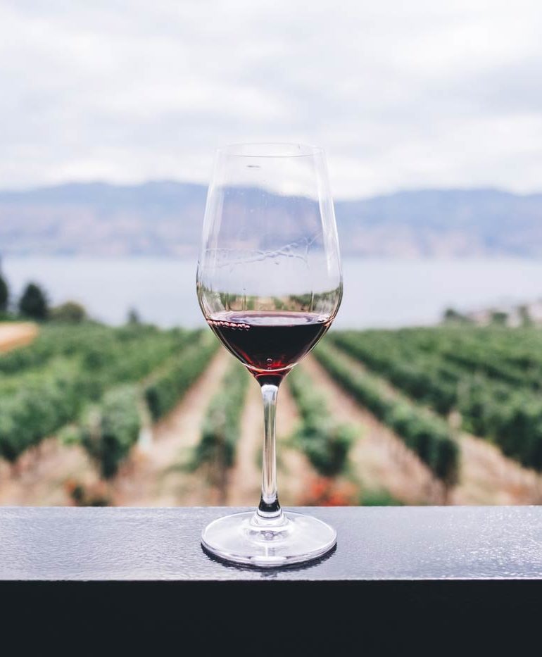 Kieliszek wina na tle plantacji winorośli