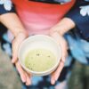 Matcha - wszystko o japońskiej herbacie