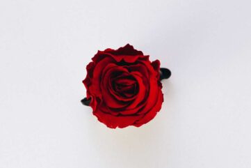 róża w kosmetyce