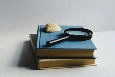 Hobby dla dorosłych