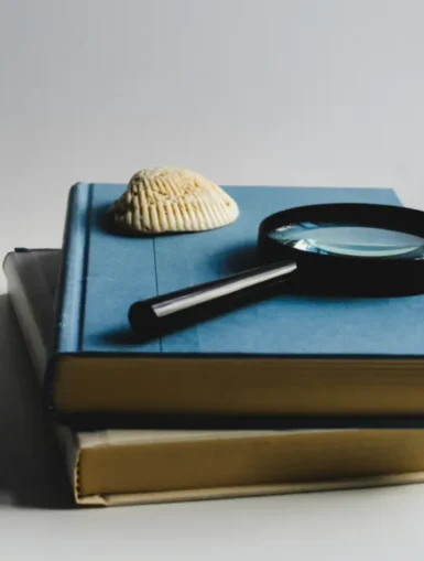 Hobby dla dorosłych