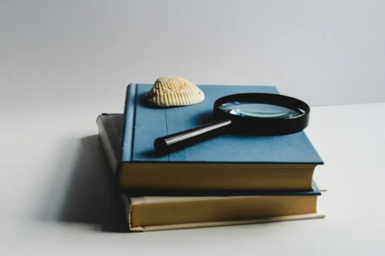 Hobby dla dorosłych